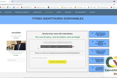 ≫ Obtenez votre Carte Nationale d'Identité au Cameroun : Comment ...