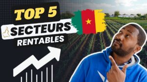 dans quel domaine investir au cameroun