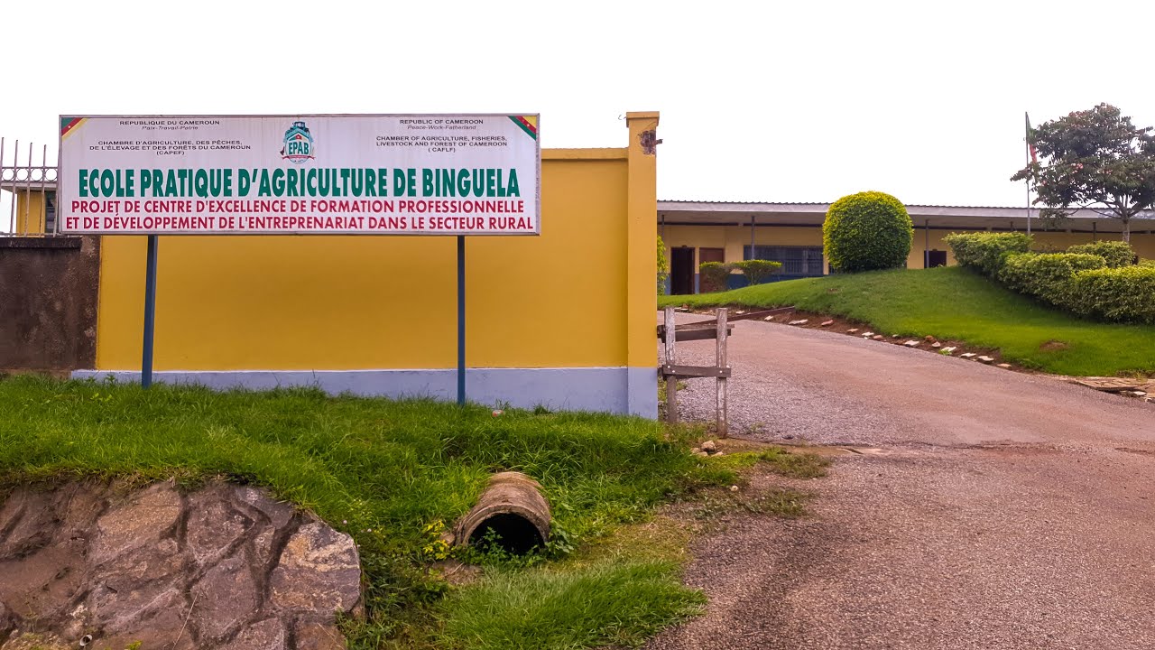 ecole d agriculture au cameroun
