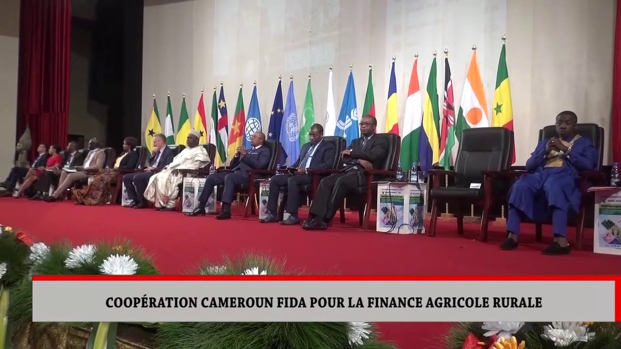 Le guide ultime pour comprendre FIDA Cameroun 1 fida cameroun