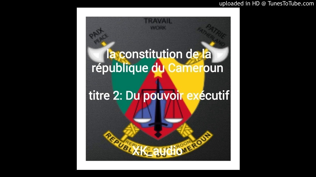 la constitution du cameroun pdf