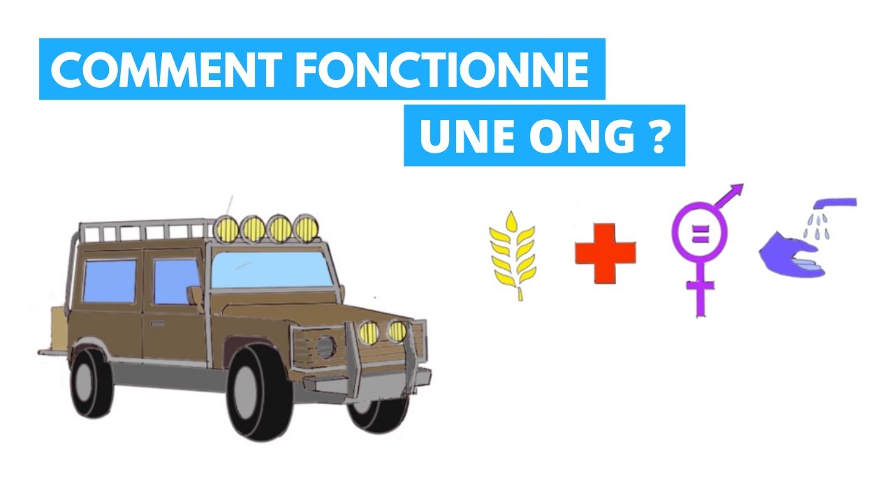 liste des ong humanitaires au cameroun pdf