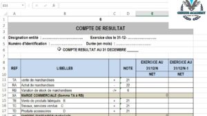 montage de la dsf au cameroun pdf