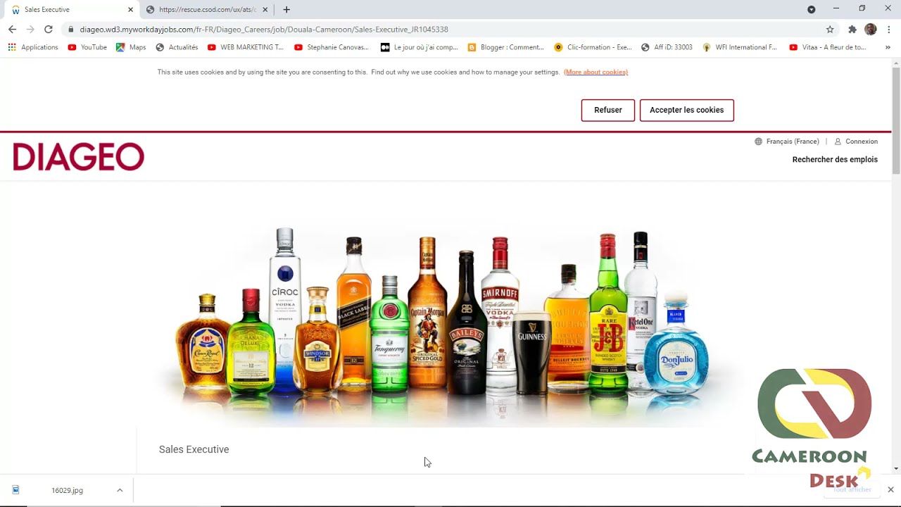 recrutement guinness cameroun 2020
