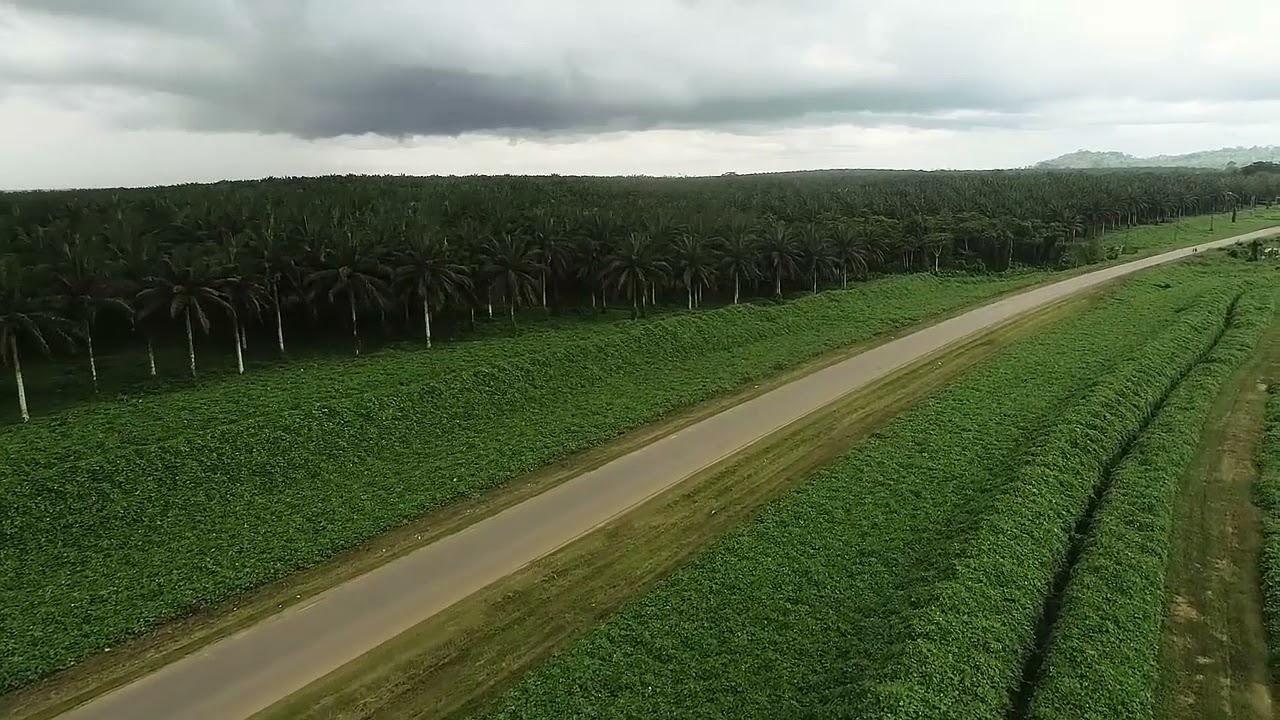 region du littoral cameroun