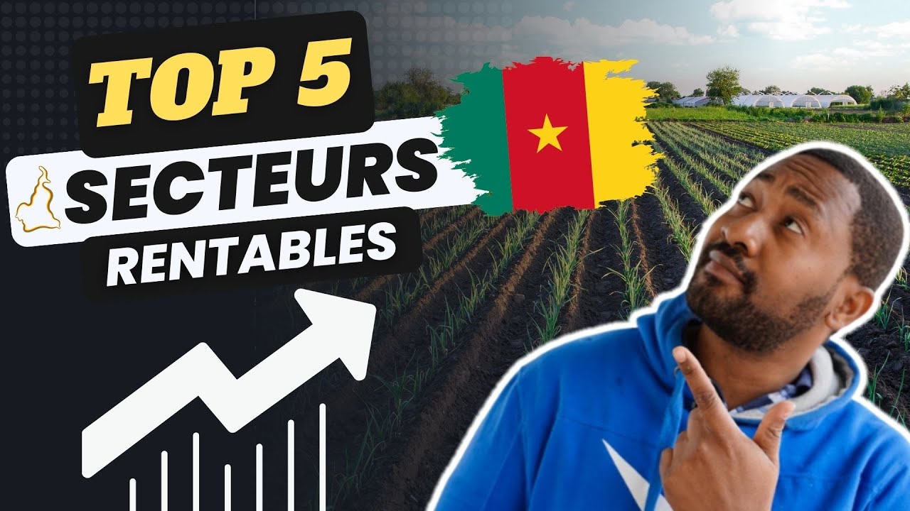 Les secteurs porteurs au Cameroun : opportunités et croissance 1 secteurs porteurs cameroun