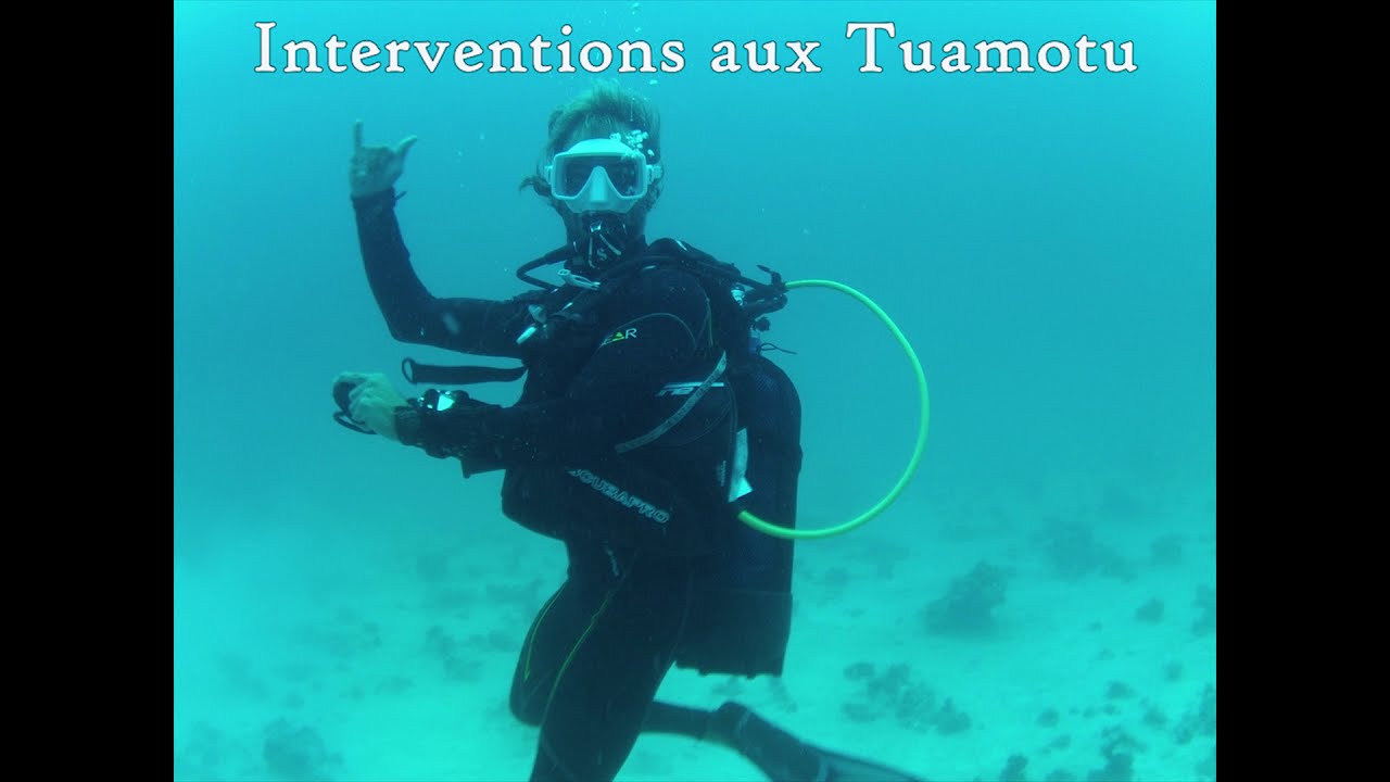 travaux sous marins camerounais